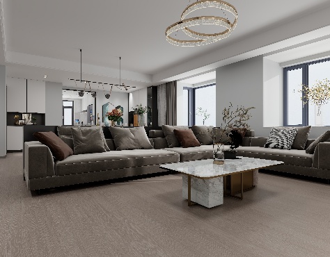 JEZ2503 经典银灰7D145B3F21DF4A1CB648FA5041CA0D0B